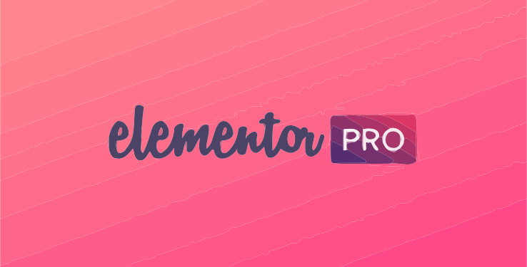Elementor Pro